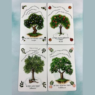 Bộ Bài Tree Magick Oracle (Mystic House Tarot Shop) - Bài Gốc Authentic Chính Hãng 100%