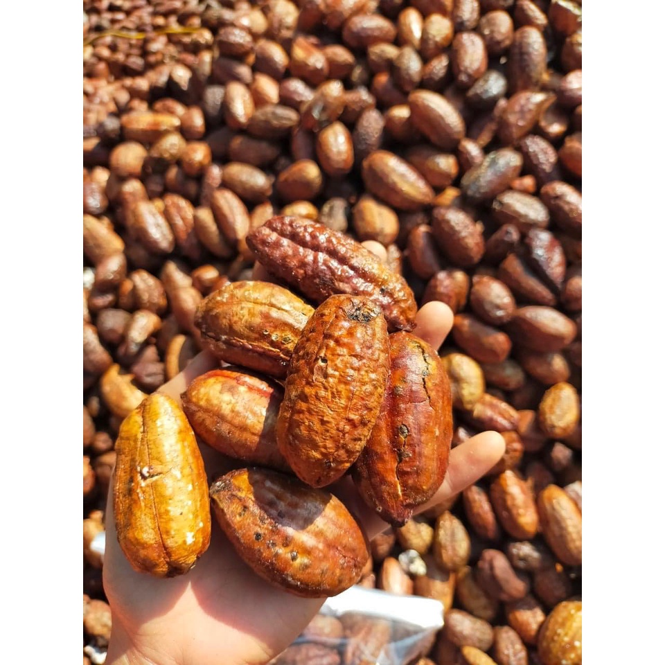 Chuối hột rừng sấy khô ngâm rượu, quả tròn đẹp (khô, sạch, thơm) [1kg]. Đồ ngâm rượu chuối hạt rừng, đặc sản Tây Bắc