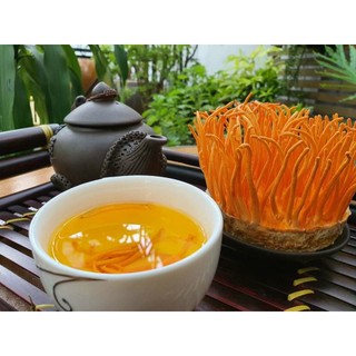 [Giá Sỉ] Đông Trùng Hạ Thảo Tươi, Sinh Khối Tươi 200g Hàng Đẹp