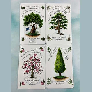 Bộ Bài Tree Magick Oracle (Mystic House Tarot Shop) - Bài Gốc Authentic Chính Hãng 100%