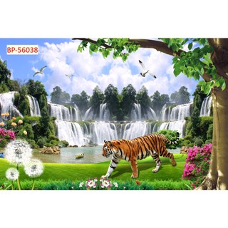 TRANH DÁN TƯỜNG CON HỔ - TRANH CON CỌP - TRANH ĐẠI BÀNG