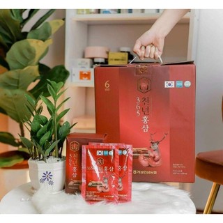 Nước hồng sâm linh chi hộp 60 gói