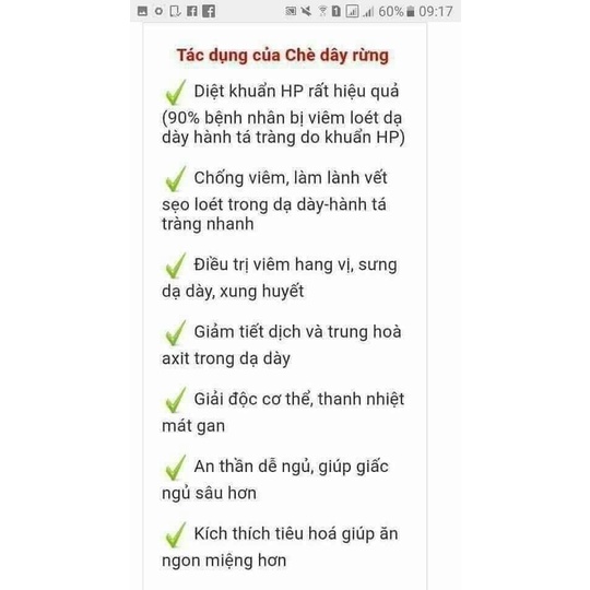 Chè Dây Rừng Khô – Lá Chè Dây Tây Bắc – Dược Liệu Tự Nhiên – Hãm Trà Uống Hàng Ngày