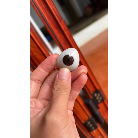 mô hình nhựa mắt giả làm mẫu lens | Shopee Việt Nam