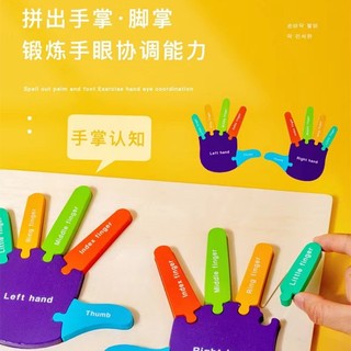 Bộ Đồ Chơi Lắp Ráp Bàn Tay Và Đế Bằng Gỗ Giúp Bé Học Tiếng Anh