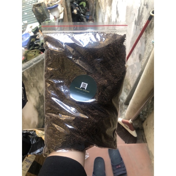 Đất kết dính làm tường rêu terarium,bán cạn,bonsai gói 250gr