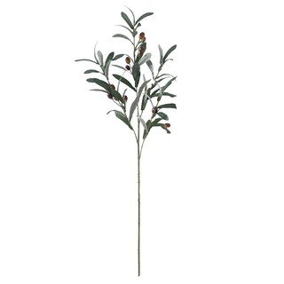 Cành oliu có quả nhiều nhánh lá bạc giả nhập khẩu thân cao cành cao 80cm từ lụa và nhựa cao cấp