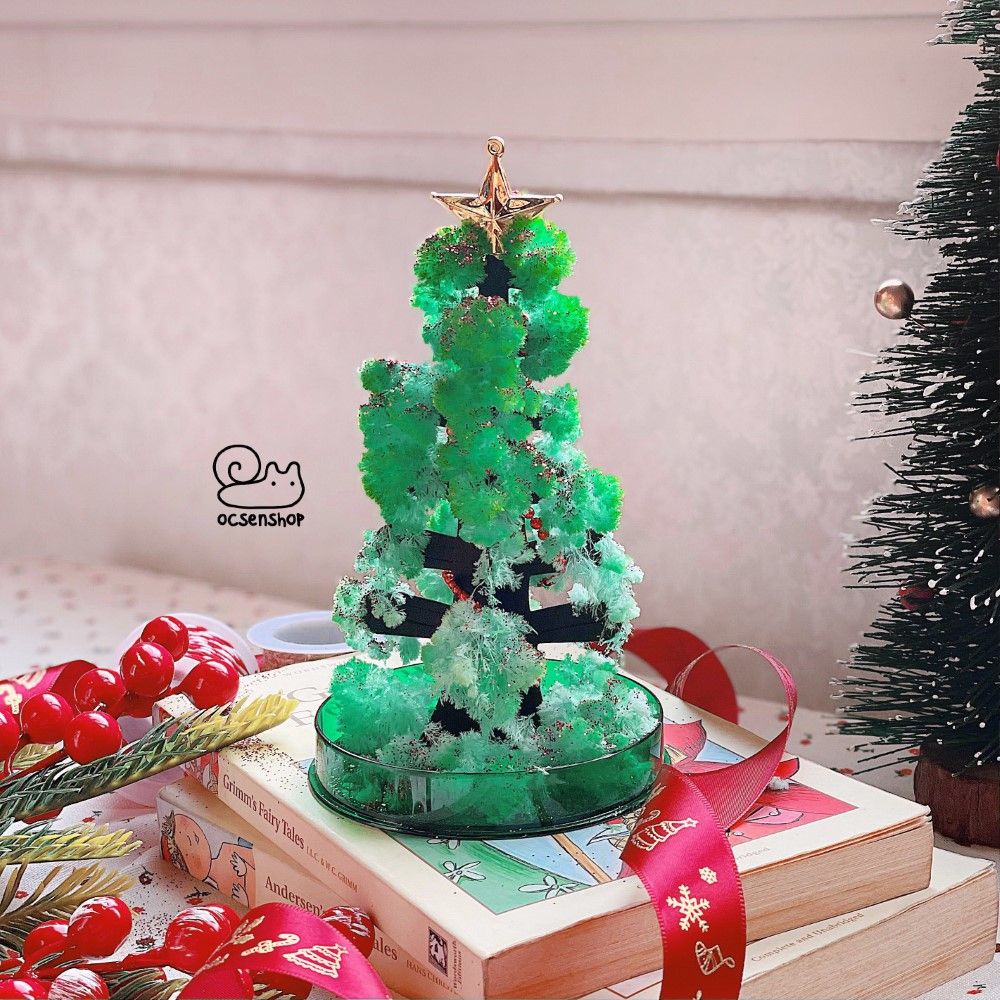 Cây thông tự nở