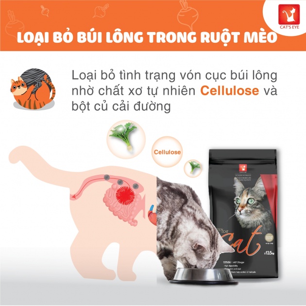 [3KG CATSRANG] Thức ăn hạt Cho Mèo Mọi Lứa Tuổi Catsrang/Cateye 3KG