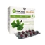 Viên uống tăng cường tuần hoàn não GINKGO OMEGA - Giúp giảm đau đầu, chóng mặt, mất ngủ