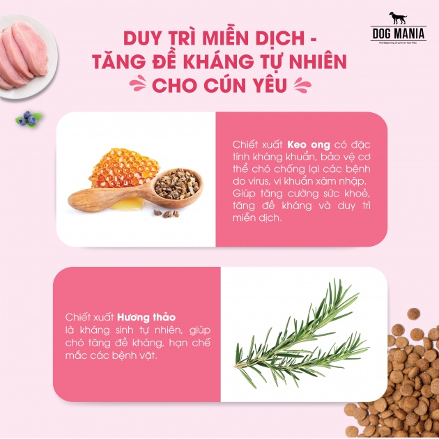 [2.4KG] DOG MANIA - Thức ăn hạt Cho Chó Nhỏ/ Chó Trưởng Thành DogMania