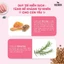 DOG MANIA - Thức ăn hạt Cho Chó Nhỏ/ Chó Trưởng Thành DogMania