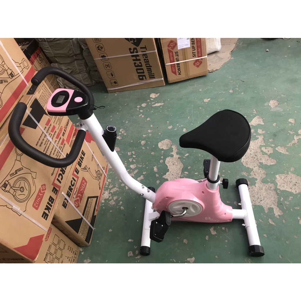 Ảnh B&G Xe đạp tập thể dục tại nhà EXERCISE BIKE YS02 WHITE 2