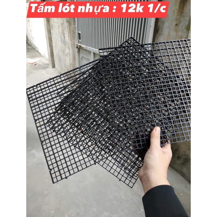 Vỉ nhựa lưới caro đa năng làm vách ngăn nắp đậy bể cá tường rêu bán cạn 30x30