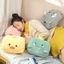 Gối nhồi bông mềm mại giữ ấm tay hình động vật hoạt họa xinh xắn