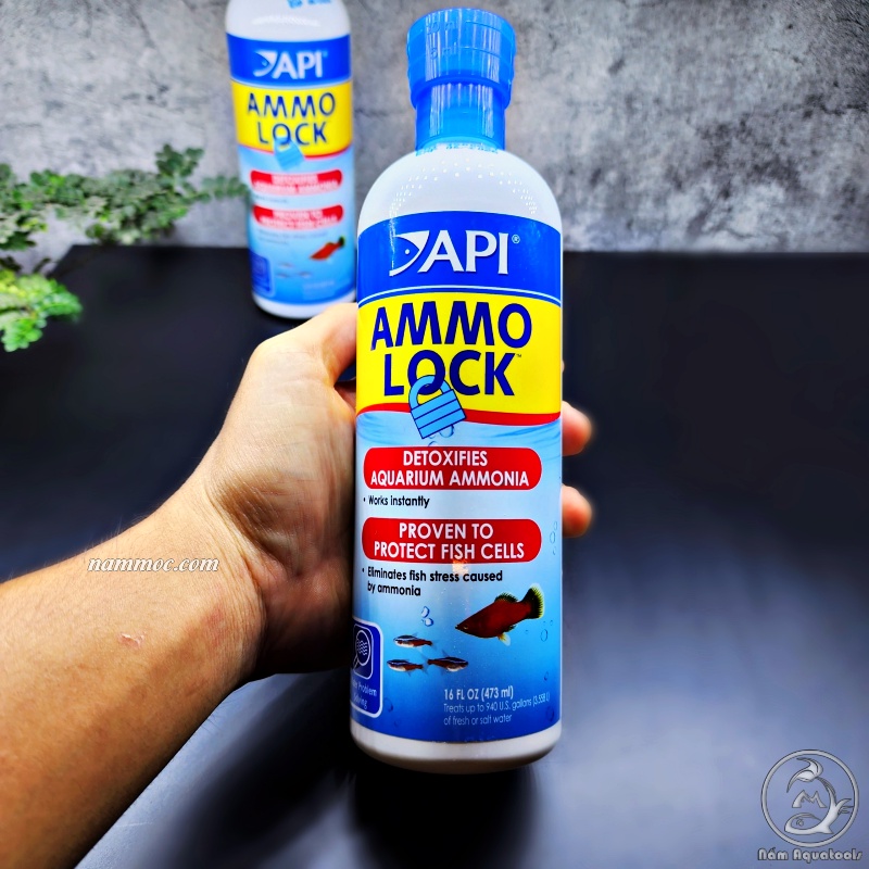 API Ammo Lock – Khử độc amoniac, ổn định hồ cá thủy sinh & hồ nước mặn ...