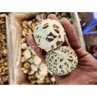 Nấm Đông Cô Nhật Bản Cao Cấp tròn đều trắng (Nấm Bông Trắng, Nấm Đông cô Bông) --> nấm bông