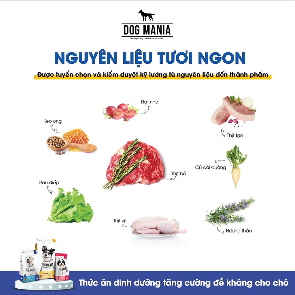 [1KG] DOG MANIA ADULT - Thức ăn hạt khô cho chó trưởng thành nhập khẩu Hàn Quốc