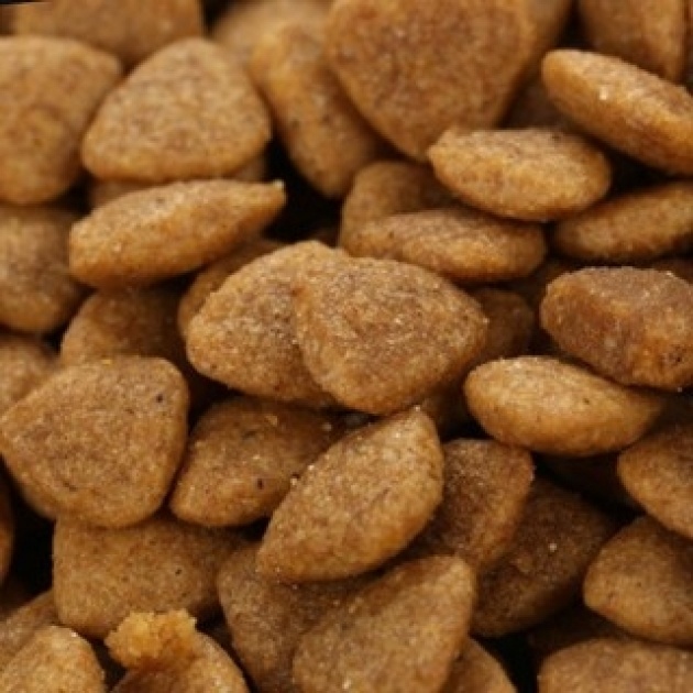 [3KG] CATSRANG - Thức ăn cho Mèo Mọi Lứa Tuổi nhập khẩu Hàn Quốc