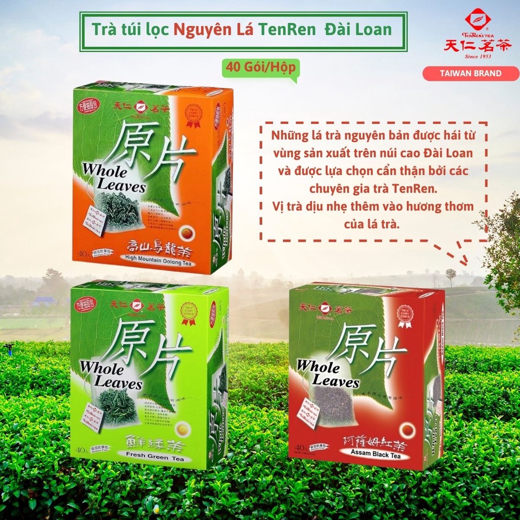 Trà túi lọc nguyên lá Tenren Đài Loan 40 gói/hộp