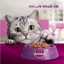 Pate mèo lớn WHISKAS - Gói 80g