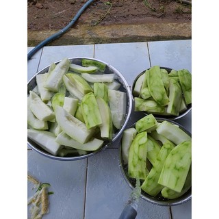 Trà hòa tan bí đao - Dược thảo Lila
