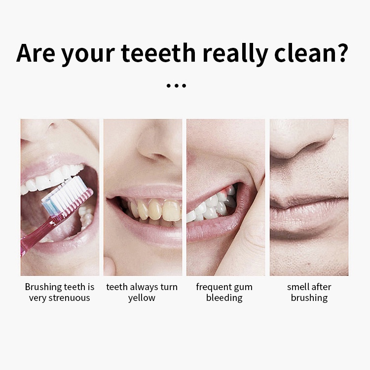 Ảnh Bàn Chải Đánh Răng Điện Tử sonic 6 Đầu Thay Thế + 1 Giá Đỡ 2