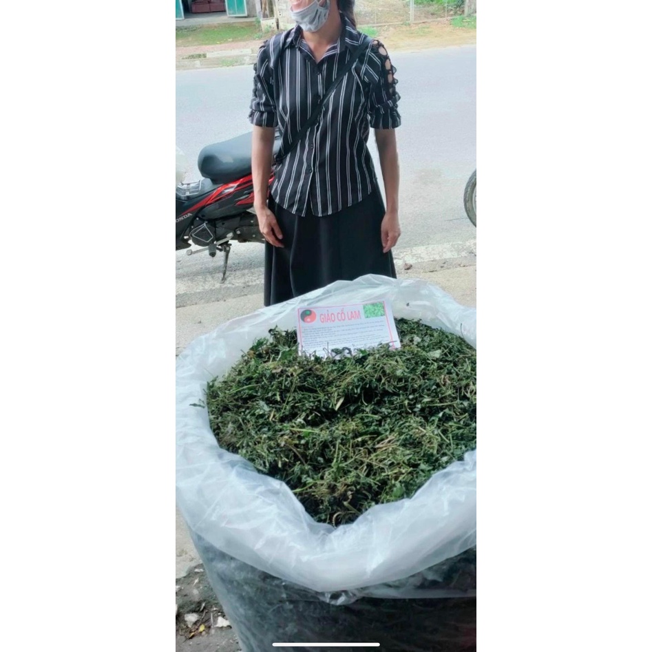 Cây Thông Đất Khô [1kg] Hàng Sạch Đẹp