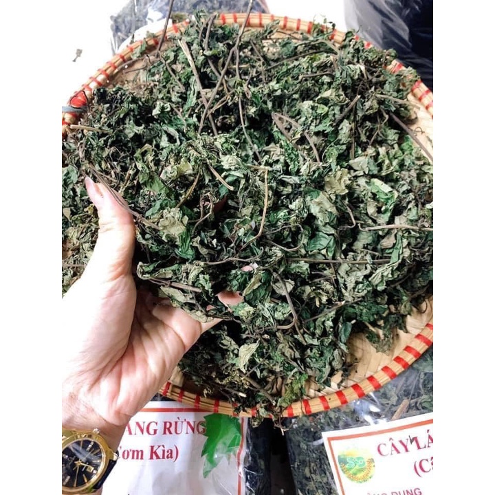 Lá Đắng, Lá Rau Rừng Khô Xanh Mướt Đẹp 500gr-1kg Khánh Ngân Tây Bắc
