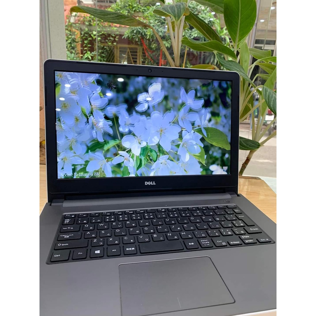 Laptop Cũ Rẻ Dell Trắng Ram 8gb/ SSD/ Màn Hình To, Học Tập, Làm Việc Mượt Mà