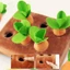VVDZA Kéo Lên Cà Rốt Rau Lượn Thảm Kéo Củ Cải Vườn Đồ Chơi Giáo Dục Trẻ Em