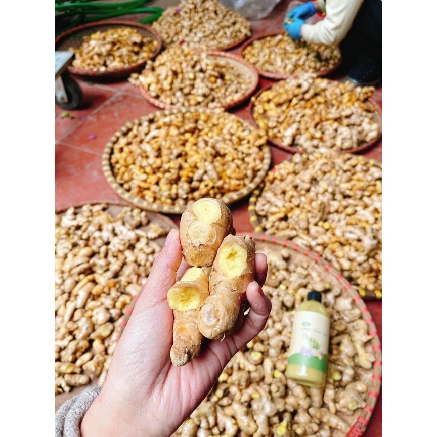 Nước Cốt Gừng Tươi Tràm Tỏi - Tắm Bé An Toàn