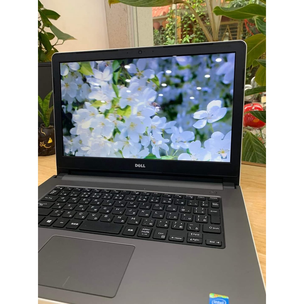 Laptop Cũ Rẻ Dell Trắng Ram 8gb/ SSD/ Màn Hình To, Học Tập, Làm Việc Mượt Mà