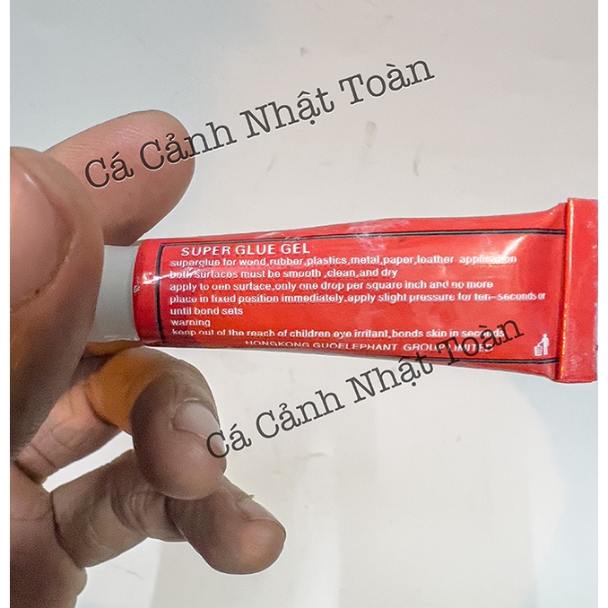 KEO DÁN RÊU, CÂY THỦY SINH GUOELEPHANT TÉP 5GRAM
