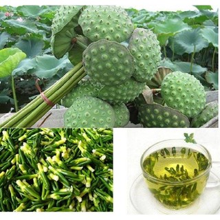 [Giá hủy diệt] 100g Tâm sen khô ( tim sen khô )
