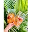 Bánh tráng sợi dẻo ớt rim dầu tỏi Mạnh Hùng