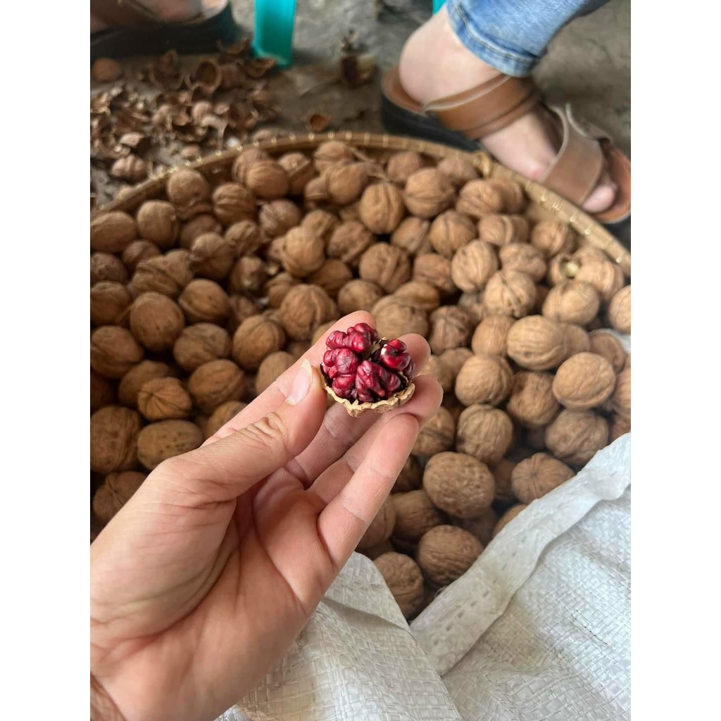 Hạt Óc Chó Đỏ Nguyên Vỏ Giàu Chất Dinh Dưỡng, Vị Tự Nhiên, Bổ Sung Vitamin Tốt Cho Sức Khỏe (500,1kg)