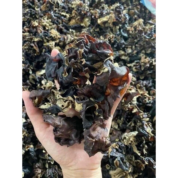 Mộc Nhĩ Rừng Tây Bắc Hàng Loại 1(Nấm mèo tự khô,sạch,đều)100gr