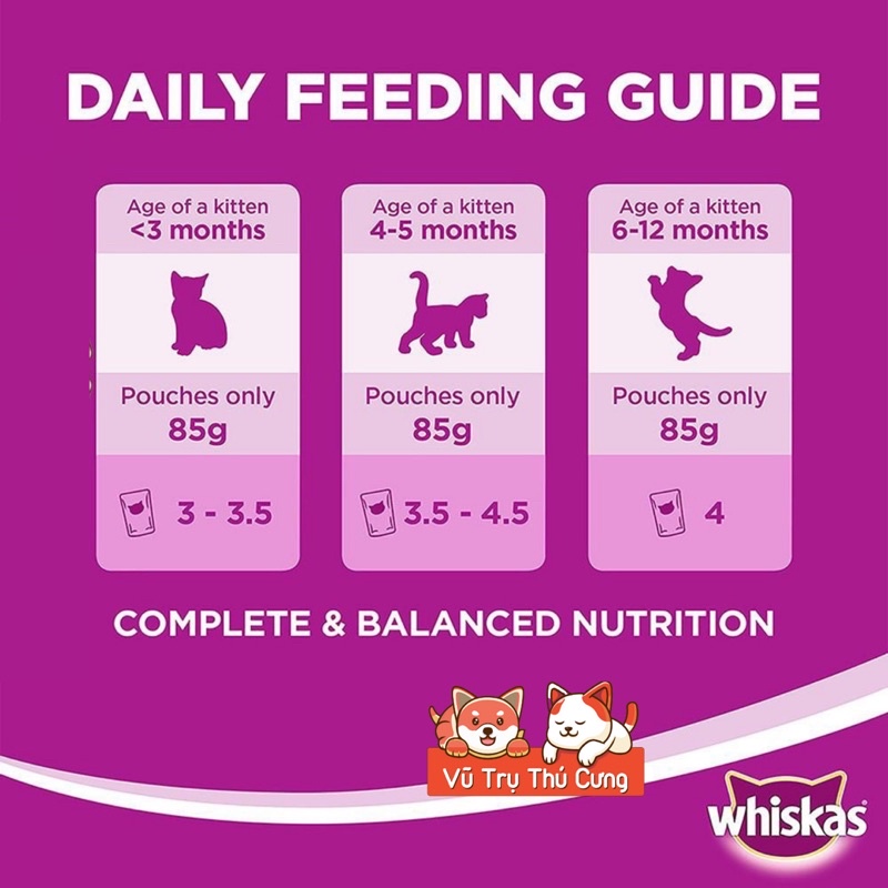 Combo Pate Whiskas cho Mèo con vị Cá thu 80g