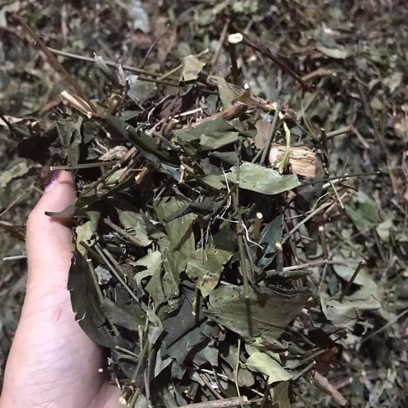 CHÈ VẰNG SẺ LOẠI 1 LỢI SỮA GIẢM CÂN CHO MẸ SAU SINH THƠM NGON DỄ UỐNG 1KG
