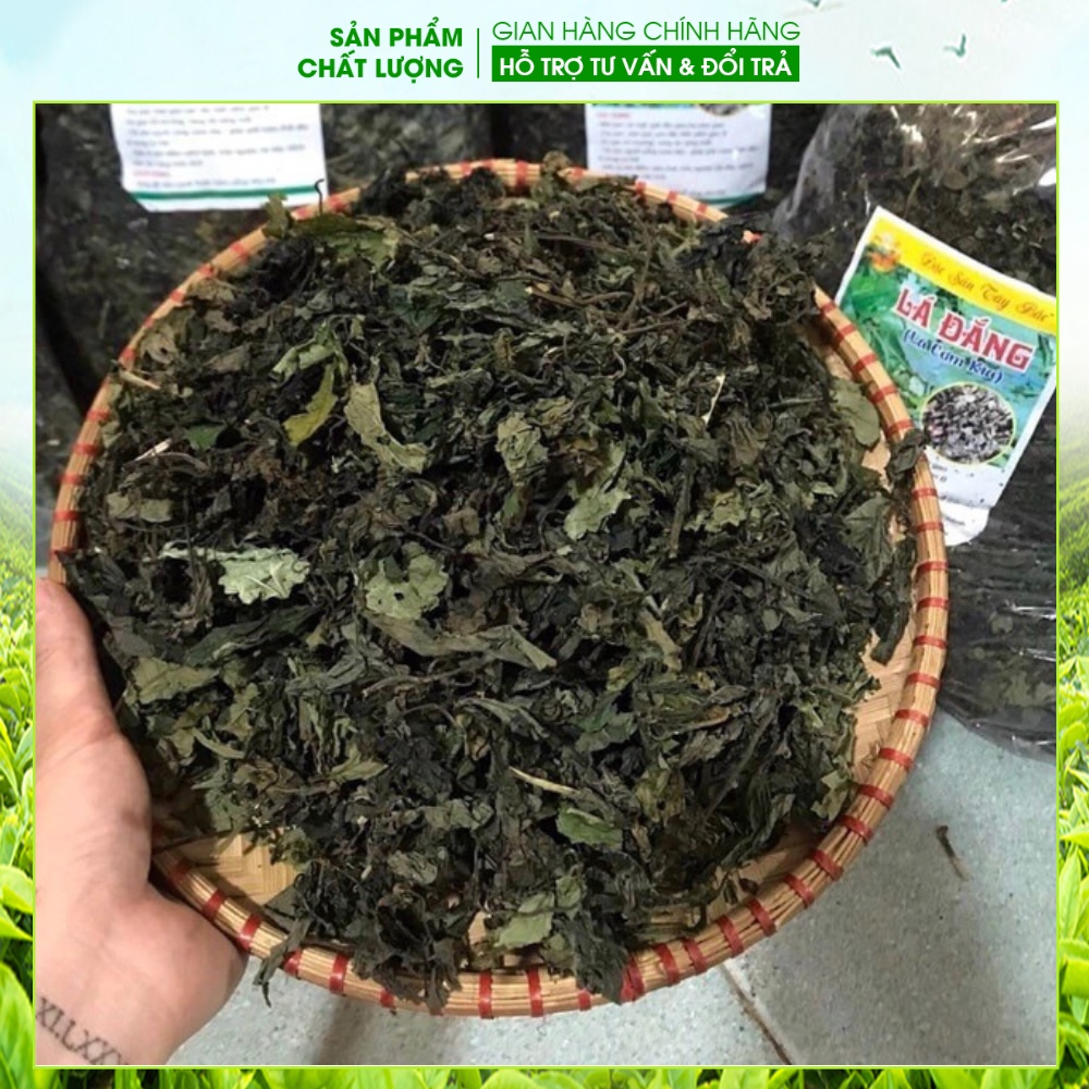 Lá Đắng, Lá Rau Rừng Khô Xanh Mướt Đẹp 500gr-1kg Khánh Ngân Tây Bắc