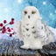Whimsical Wizard Snowy Owl Đồ chơi sang trọng Huggable Thú nhồi bông Lý tưởng cho Giáng sinh