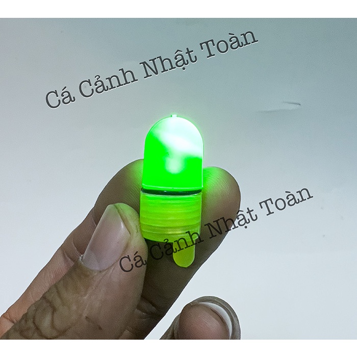 ĐÈN GẮN CHUÔNG BÁO CÁ CÂU CÁ CÂU ĐÊM