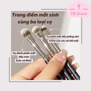 Cọ tán phấn mắt Gecomo cao cấp dành cho người bắt đầu và trang điểm chuyên nghiệp