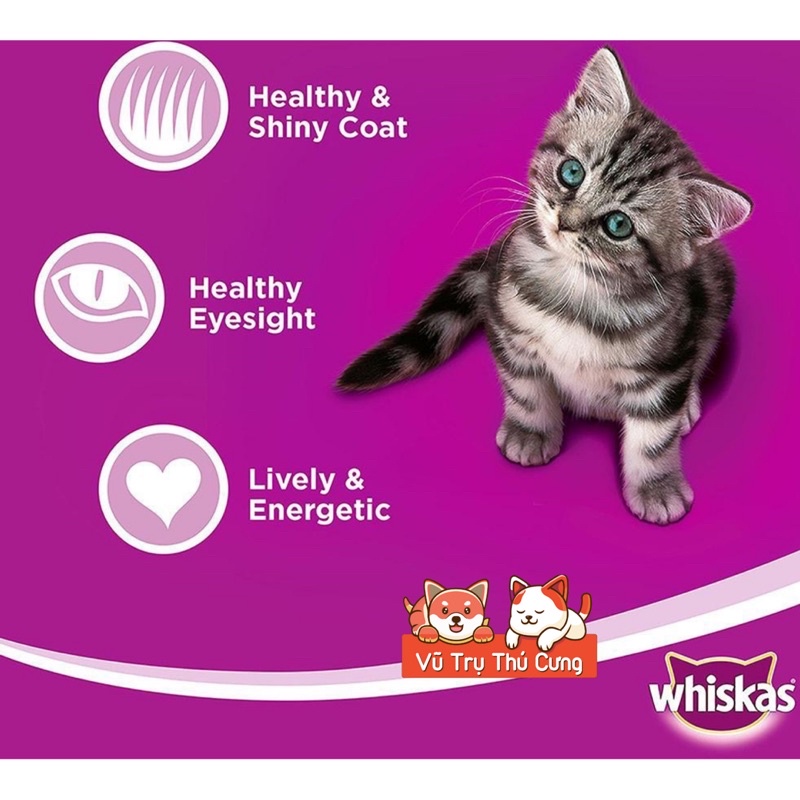 Combo Pate Whiskas cho Mèo con vị Cá thu 80g