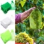 CAST 30 Chiếc Túi Trái Cây Chống Côn Trùng Nylon Trồng Cây Phát Triển Túi Bảo Vệ Trái Cây Dây Rút Chống Côn Trùng Thực Vật Caver Túi