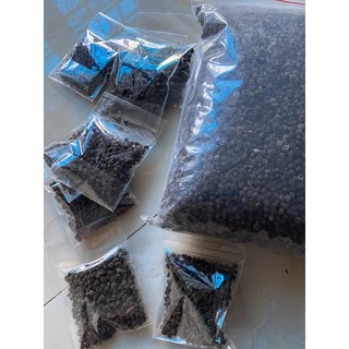 250k - 1250 Hạt Giống Đu Đủ Đực (Siêu Hoa)