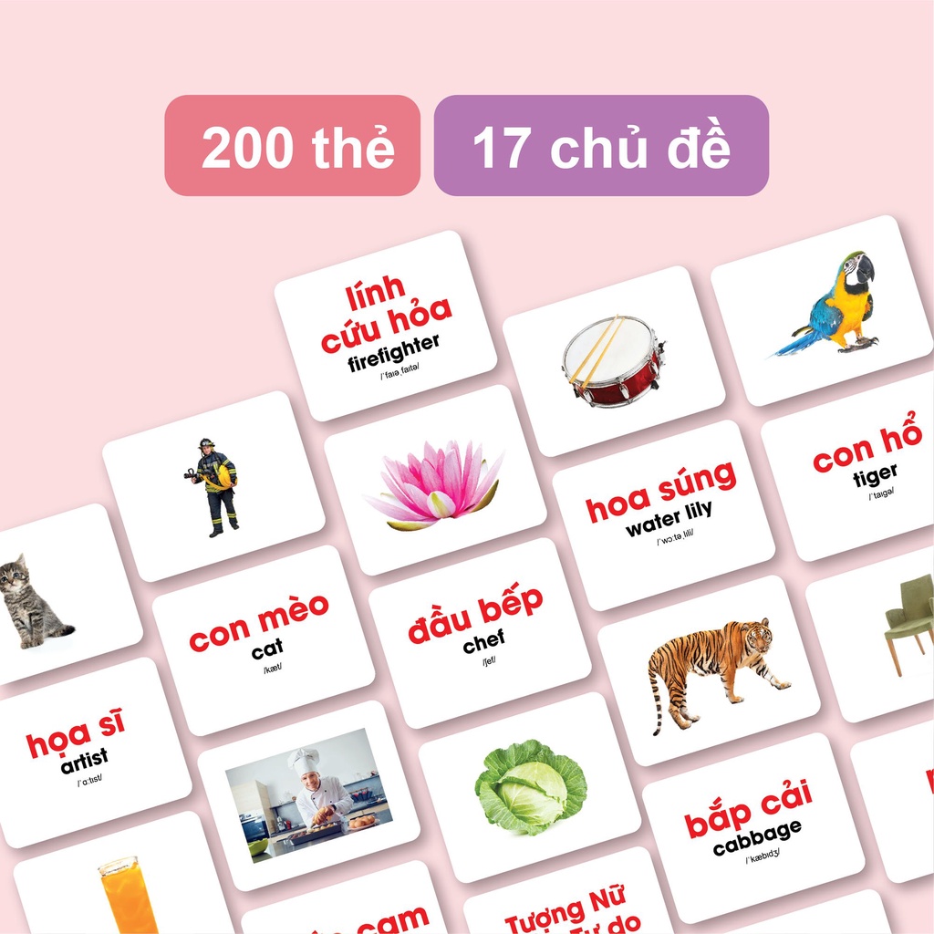 Ảnh Flashcard - Bộ 200 thẻ học thông minh song ngữ Glenn Doman Thế Giới Xung Quanh 3