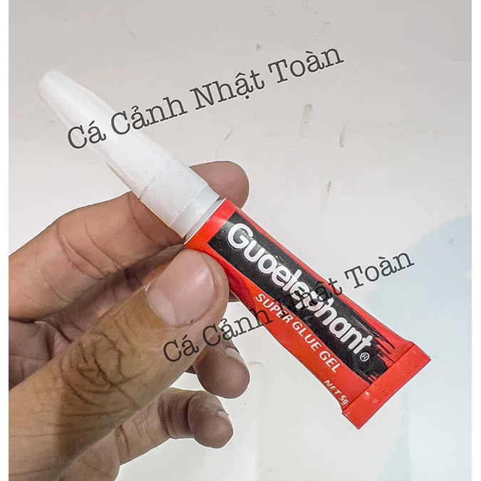 KEO DÁN RÊU, CÂY THỦY SINH GUOELEPHANT TÉP 5GRAM