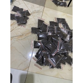 40k-200 hạt giống đu đủ đực lùn (siêu hoa)